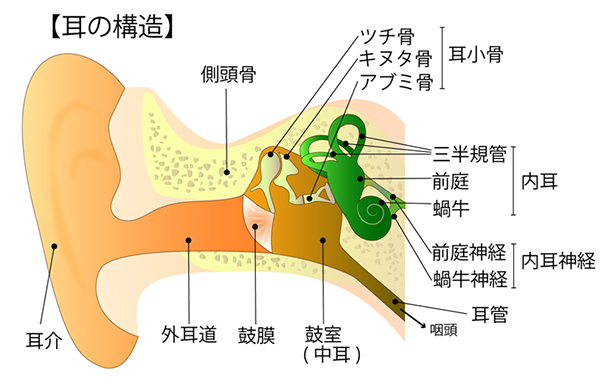 目眩（めまい）とは